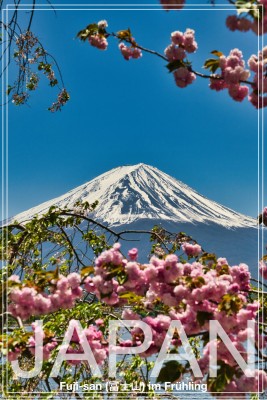 PosterArt